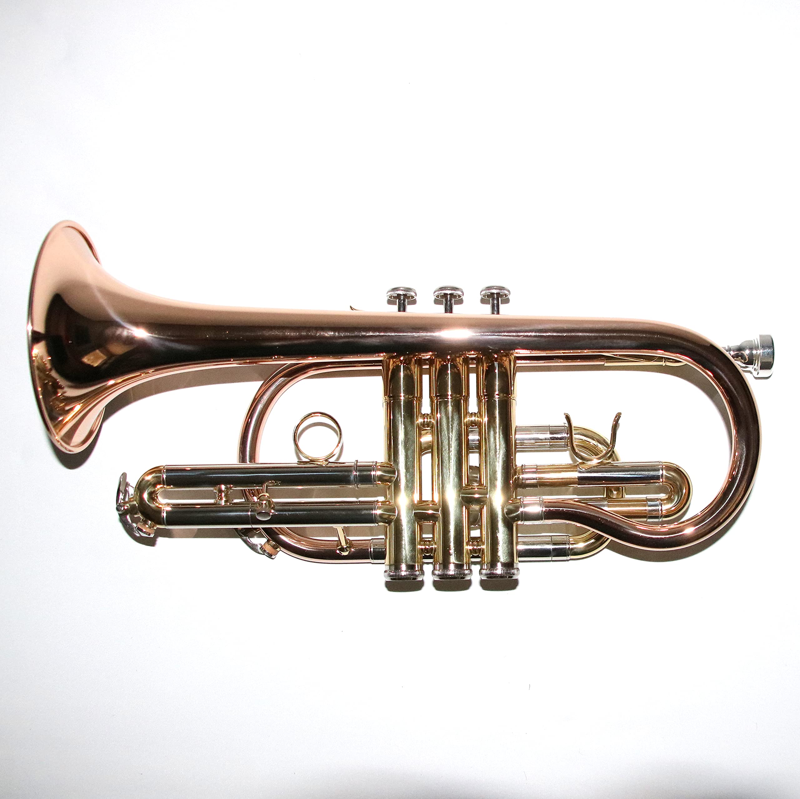 Eastman® ECR-501R Cornetta in Sib