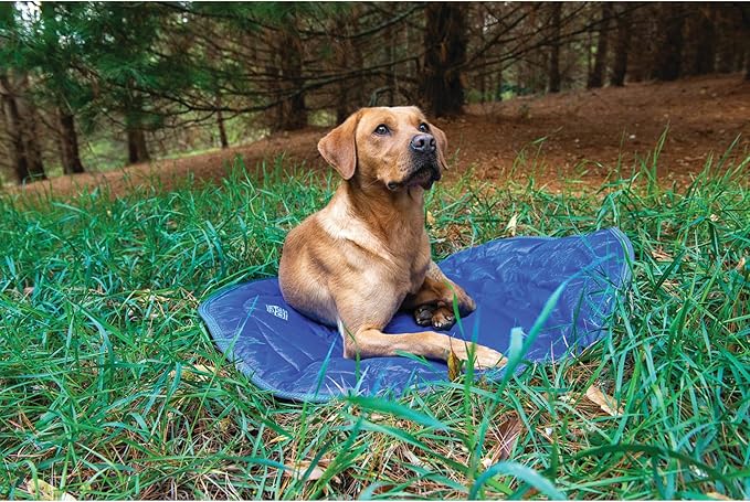 Cama para Perro Grande 76x76 cm Impermeable y Lavable miniatura 4