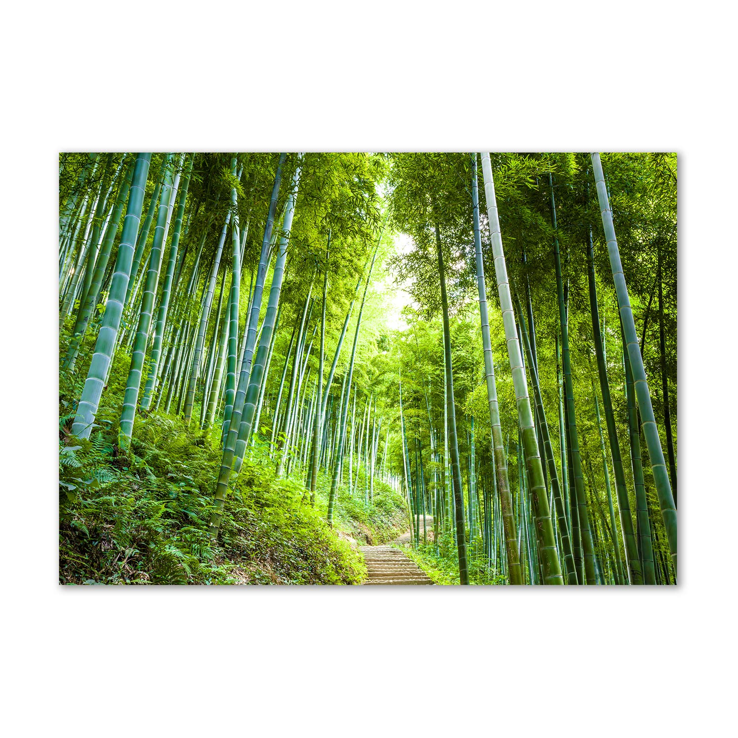 Acrylic glass picture paisaje vert, déco mural pour cuisine et salon