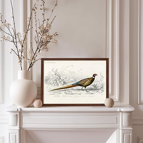 Miniatura 96 de Poster Master Póster vintage de flamenco americano, estampado retro de flamenco rosa, arte de pájaro, regalo para él, ella, amante de los animales,