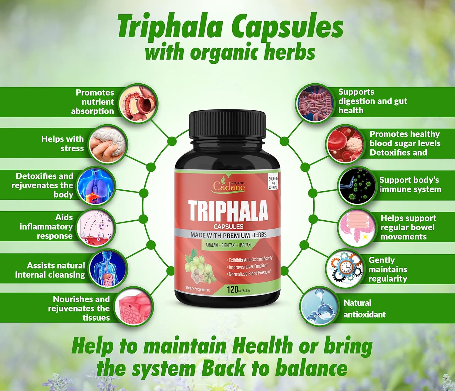 Organic Triphala (3 Fruit Powders) Capsules 3000mg, 120 Veggie Capsules | Improves Digestion, Colon Cleansing, Maintain Normal Regularity | Supports Immune System Supplements : Health & Household