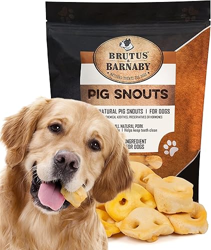 BRUTUS & BARNABY Golosina para perros con hocico de cerdo, 100% natural, nuestros hocicos de cerdo saludables para perros son fáciles de digerir,