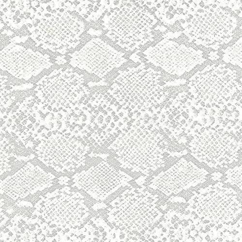 Amazon Music Blankey Jet Cityのディズニーランドへ Amazon Co Jp Amazon Music Blankey Jet Cityのディズニーランドへ Amazon Co Jp