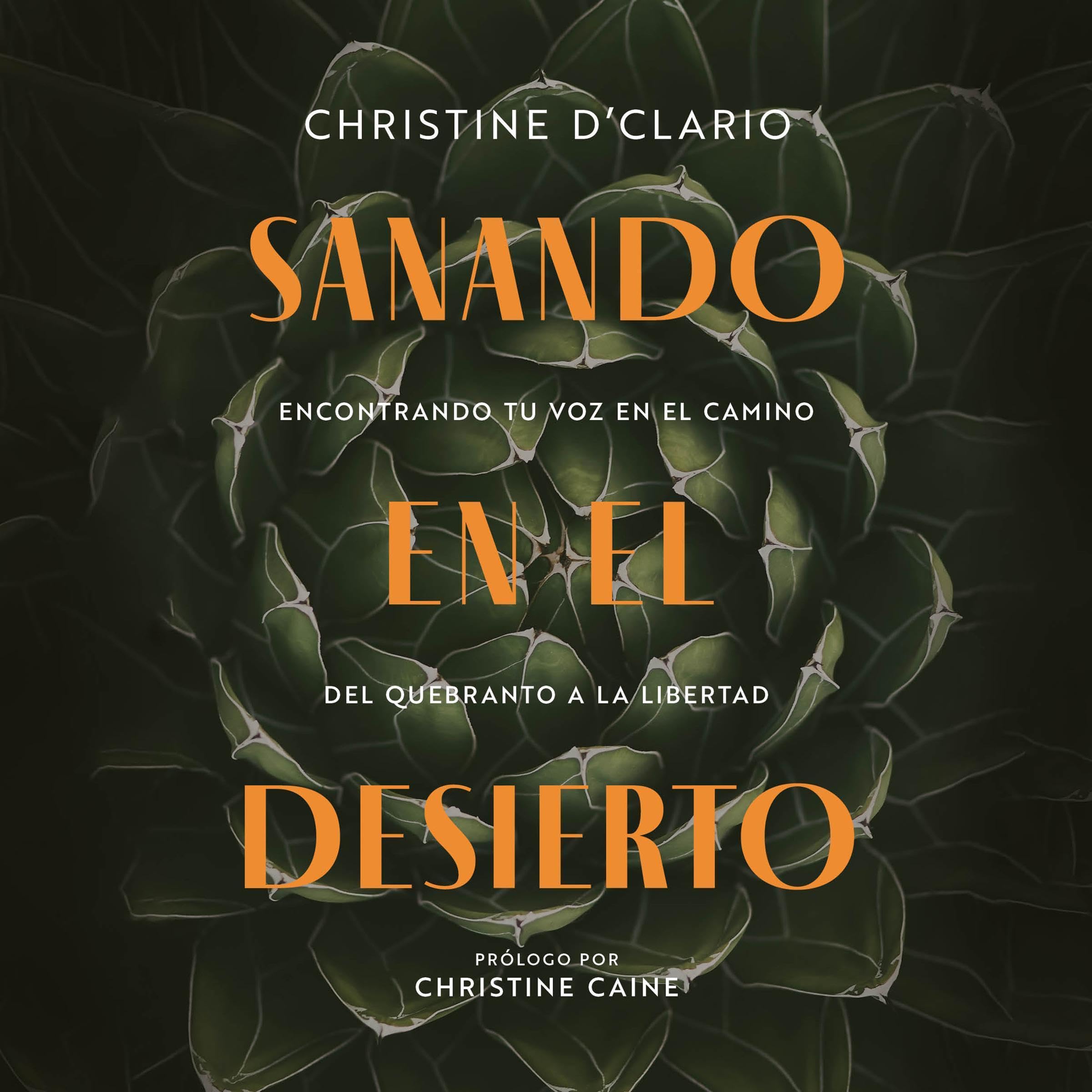 Cover art for Sanando en el desierto [Healing in the Desert]