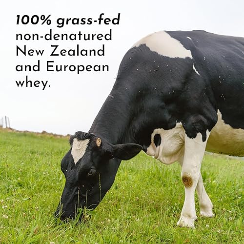 Miniatura 9 de Polvo de Proteína de Mantequilla de Cacahuete Tostado y Chocolate  Mezcla de 30 Porciones con 100% Suero de Leche Alimentado con Pasto y Proteínas