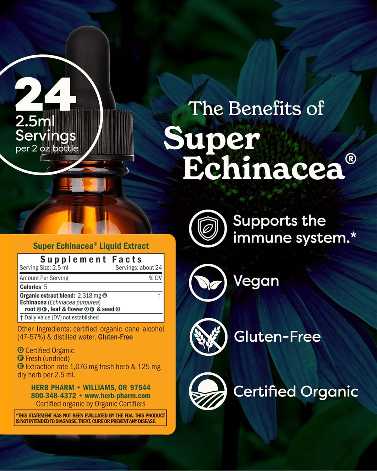 Herb Pharm Super Echinacea® Liquid Extract: USDA Organic Immune Support for Year-Round | Fast-Absorbing Echinacea Tincture, 4 Plant-Part Blend: Root, Leaf, Flower & Seed | Up to ~6 Week Supply, 2 oz* - Image 2