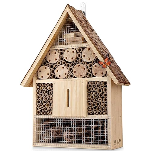 Wildlife Friend I Hôtels à Insectes en Bois avec Toit