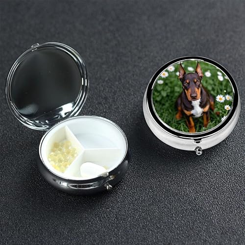 3 Compartment Doberman Pinscher Pill Case Mirror Medicine Organizer