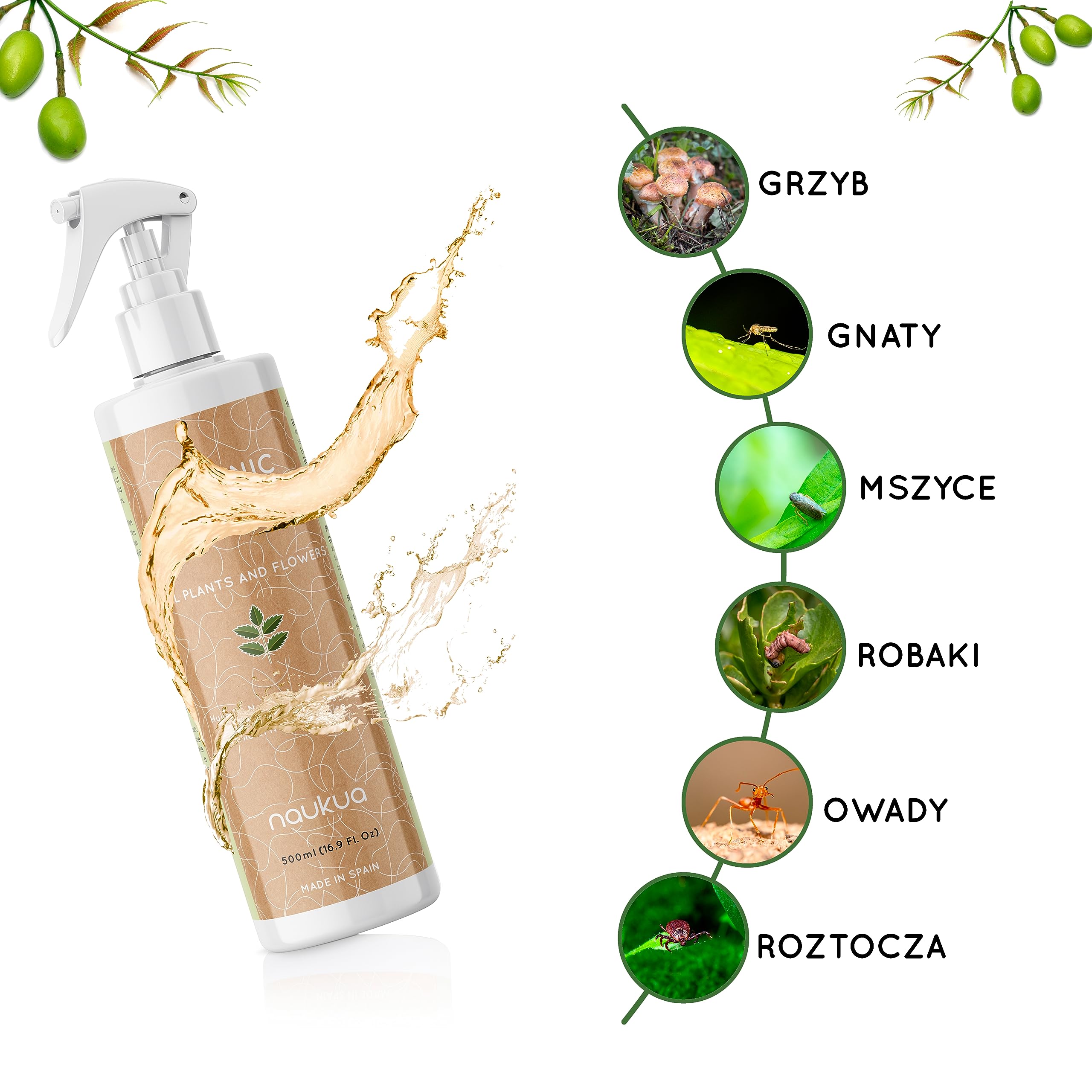 500ml Organiczny Olejek z Miodli Indyjskiej Do Roślin - 100% Naturalny i Nietoksyczny - Ochrona i Obrona Przed Wszystkimi Rodzajami Szkodników, Owadów i Chorób - Rośliny Wewnątrz i Na Zewnątrz - Gotowy Do Użycia Spray.
