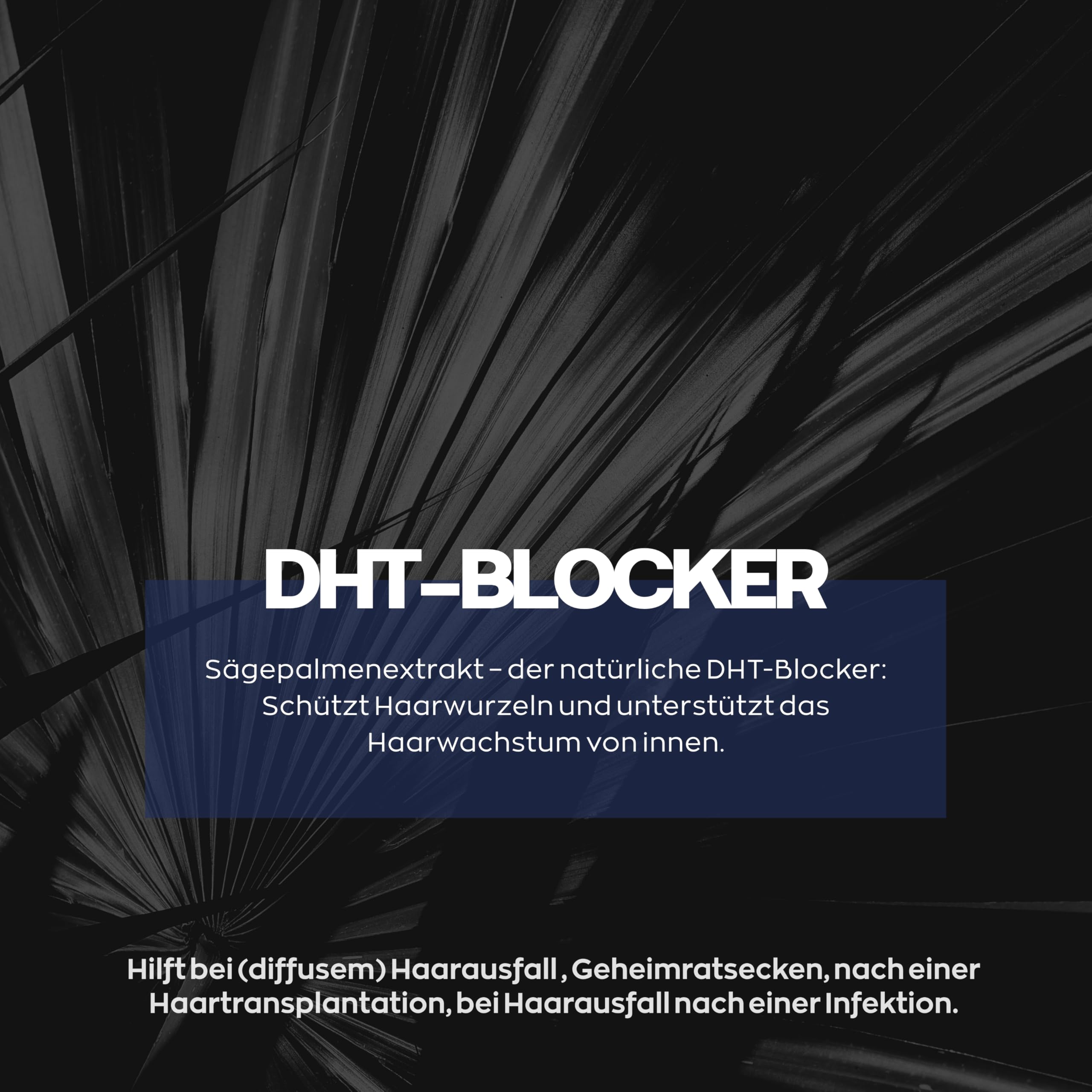 Xpecia DHT Blocker mit Biotin und Sägepalmextrakt - Gegen Haarausfall Männer - Ginko Wurzel, Haar Vitamine, Sägepalme - Haarwachstum beschleunigen - Nachbehandlung Haartransplantationen