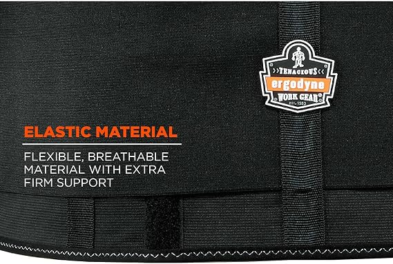 Ergodyne ProFlex 1650 Back Support Belt, 7.5 Elastic, Adjustable, Removeable Straps (Pack of 2)