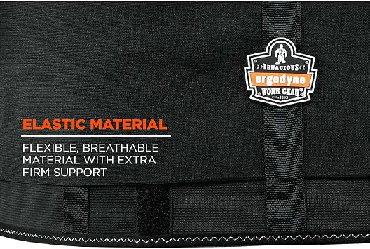 Ergodyne ProFlex 1650 Back Support Belt, 7.5 Elastic, Adjustable, Removeable Straps (Pack of 2)