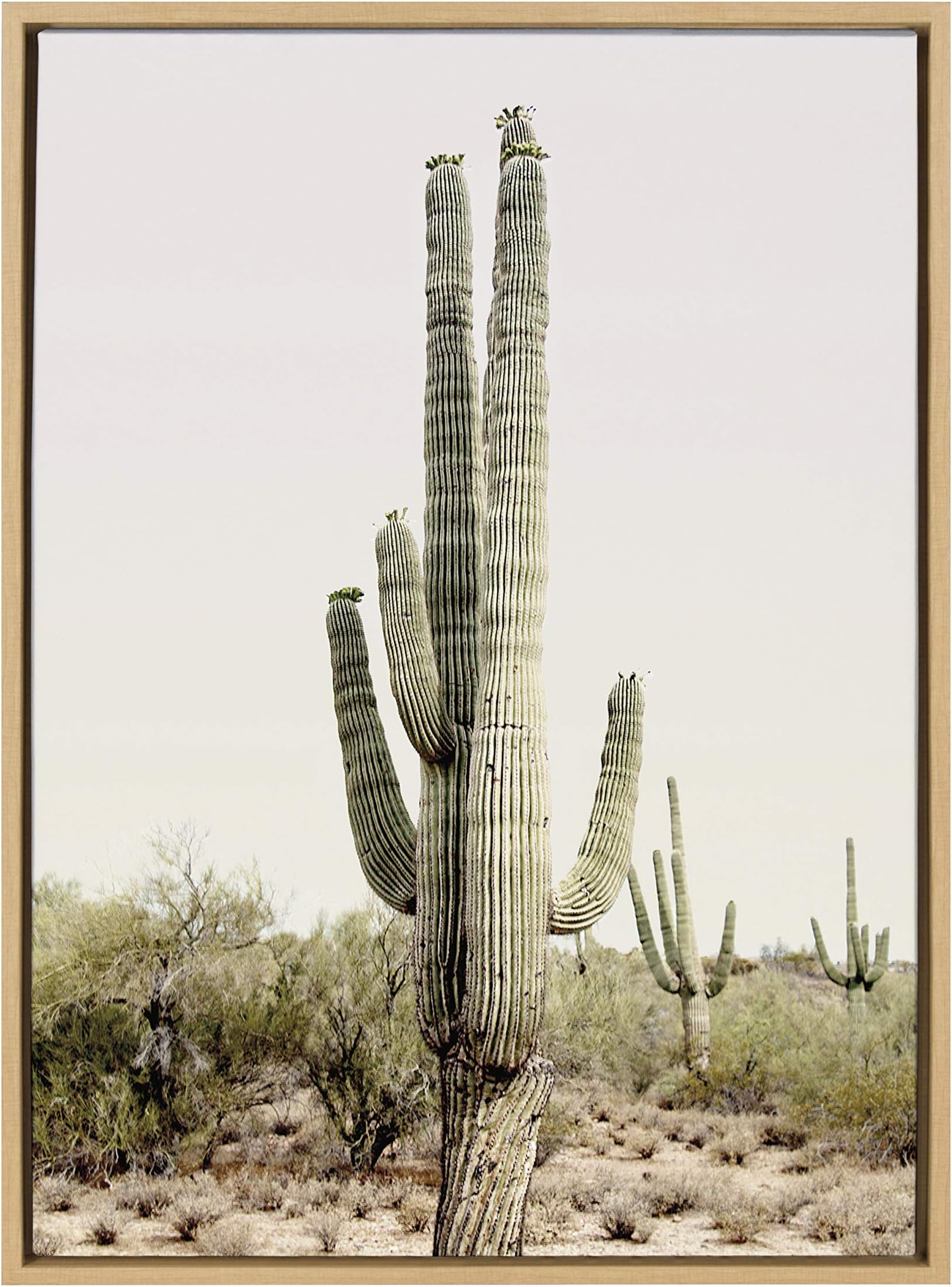 Kate and Laurel Sylvie Sunrise Cactus Framed Canvas Wall Art by Amy Peterson, 23x33 Natural, Peaceful Art for Wall