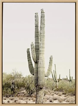 Kate and Laurel Sylvie Sunrise Cactus Framed Canvas Wall Art by Amy Peterson, 23x33 Natural, Peaceful Art for Wall
