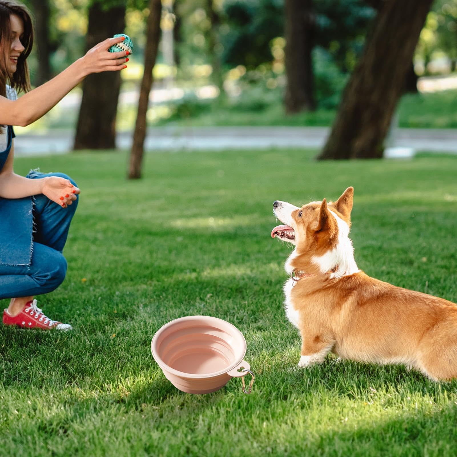 Ciotola Pieghevole Per Cani In Silicone - Portatile, Leggera, Con Moschettone, Per Viaggi E Escursioni