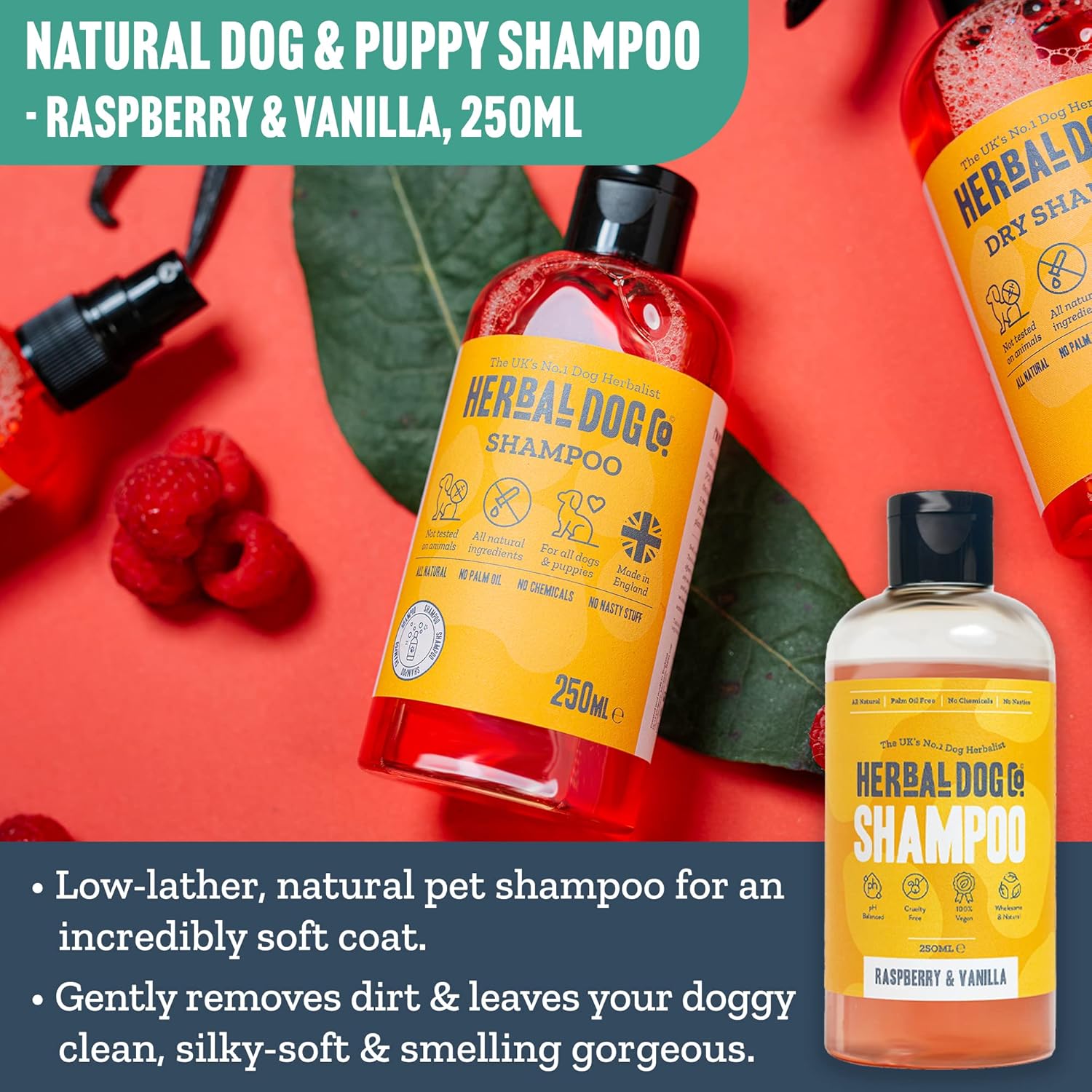 Herbal Dog Co Natural Dog Shampoo, Raspberry & Vanilla, 250ml, Handmade in England, SulfateFree