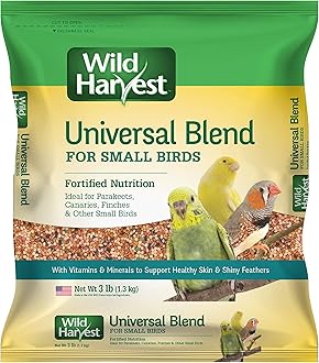 Daily Blend For Small Birds, 3 Pound (Pack of 1)