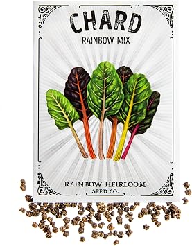 Chard Seeds for Planting | Rainbow Mix (1g Packet - Approx 100 Seeds) | Non-GMO & Heirloom Seeds | Illustrated Seed Packet with Growing Instructions by Rainbow Heirloom Seed Co.