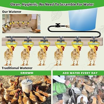(10Cups) Complete Set Pipeline Automatic Chicken Waterer System, Innovative Quick-Connect Water System with Large Size Water Cups Removable and Washable, 21ft Pipeline and Float Valve
