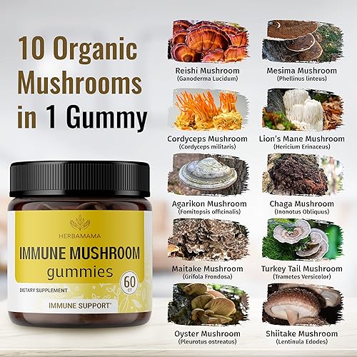 Miniatura 3 de HERBAMAMA Gomitas de complejo de hongos inmunes  Gomitas de hongos para reforzar la inmunidad y la energía  Suplemento de hongos con Reishi, melena