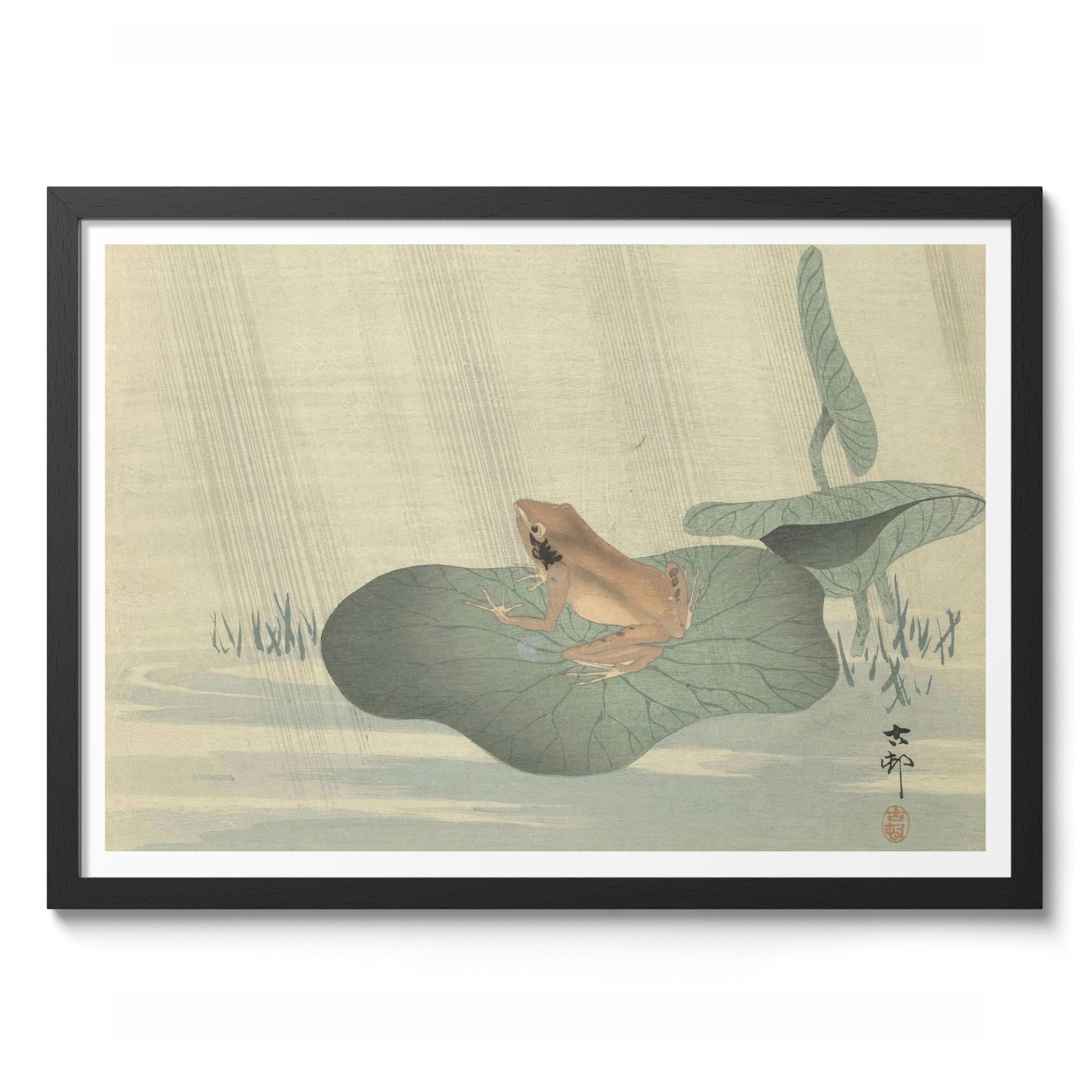 Frog On Lotus Leaf Ohara Koson Poster, Japanese Woodblock Ukiyo-E Print, Vintage Nature Art Picture Animal Painting Wall Art Exhibition, Japan Artwork Home Decor, A3 (Black Frame) - 45x32.8cm