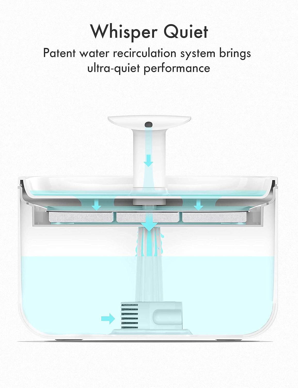 PETLIBRO Cat Water Fountain, Ultra Quiet with Two Flow Modes, BPA-Free Capsule Pet Water Fountain, 71oz/2.1L Visible Water Level Dog Water Dispenser with Large-Size Filter for Cats & Dogs : Everything Else