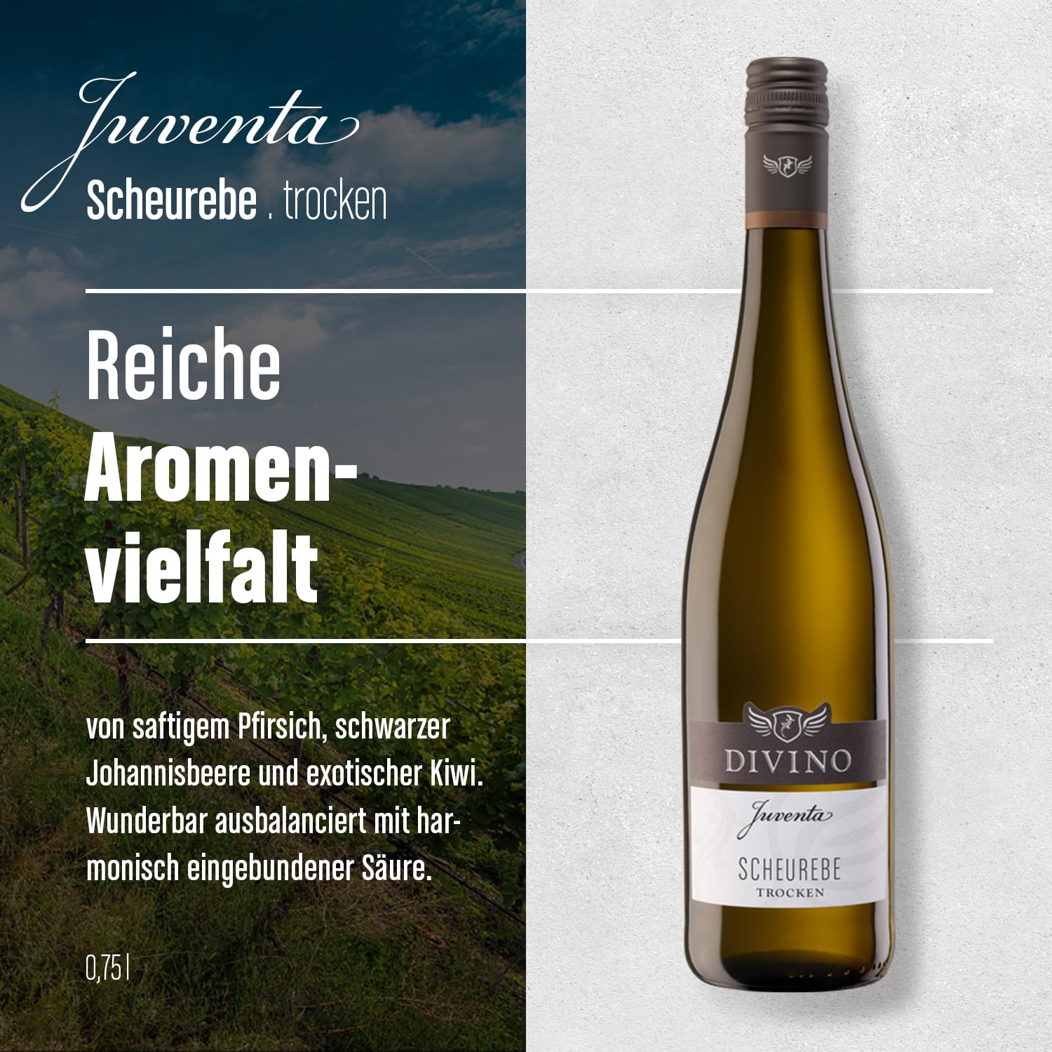 DIVINO Juventa Frankenwein Probierpaket - Silvaner, Grauer Burgunder, Scheurebe, Rotling, Merlot, Cuvée - Qualitätsweine direkt aus den Weinbergen Frankens (6 x 0,75l)