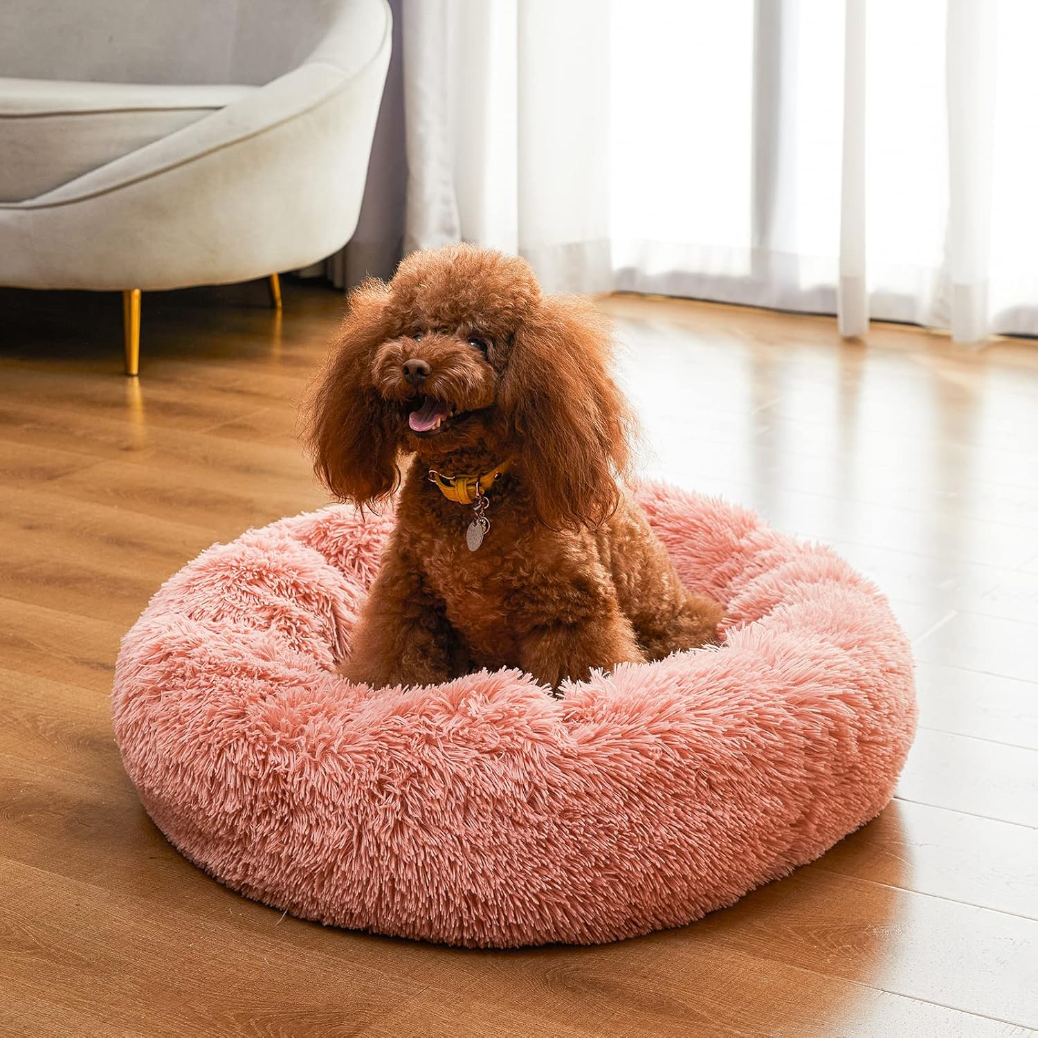 fluffy dog beds