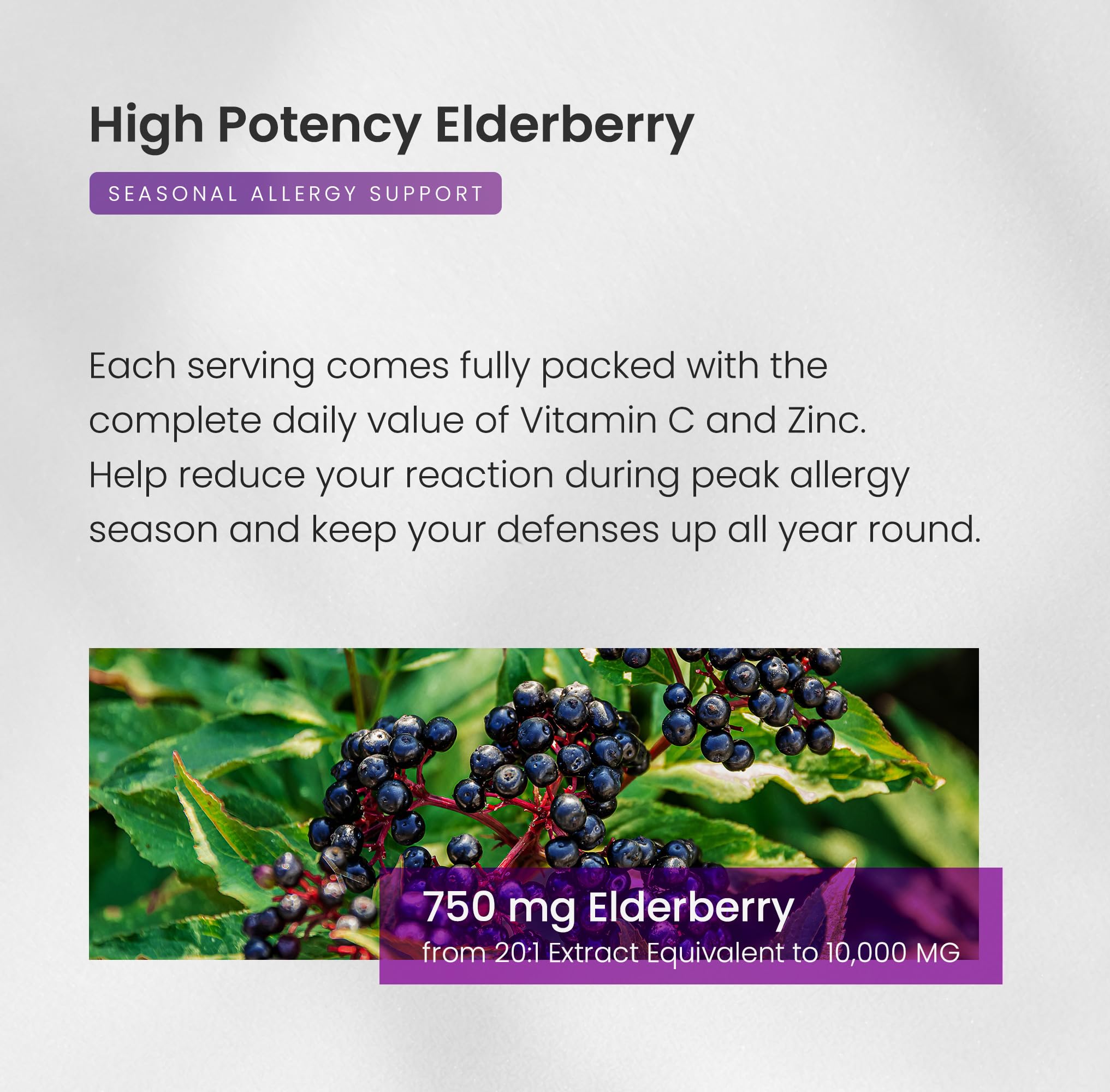 Elderberry Capsules | 1000mg Sambucus Elderberry with Zinc and Vitamin C for Adults + Vitamin D3 5000 IU & Ginger | 5-in-1 Antioxidant Immune Support Supplement | 120 Elderberry Extract Capsules — Amazon image 5