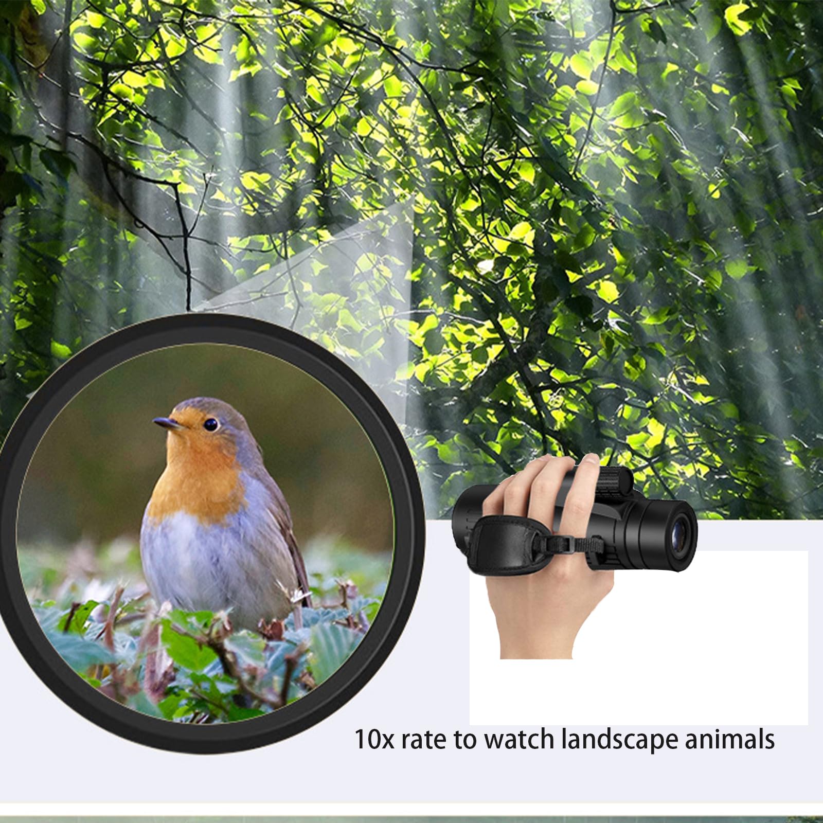 Severnier Monocular 12x50, HD High Power Monocular Telescope, BAK-4 Prism and FMC Monocular Telescope, for Watching Hunting Camping, Hiking, Concerts (Verdemilitary