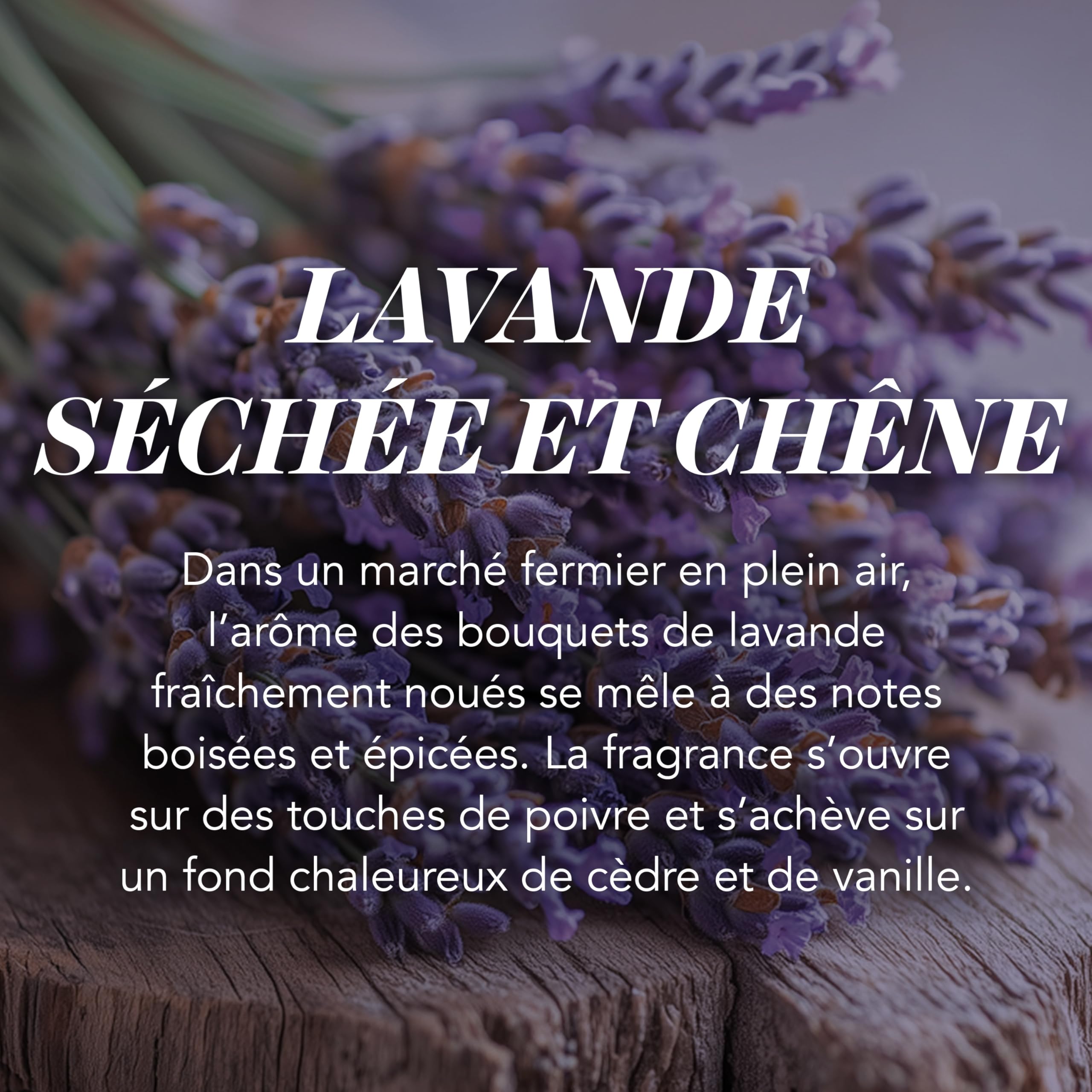 Yankee Candle Bougie parfumée | Grande bougie en pot Lavande Séchée et Chêne | Bougies à combustion longue : jusqu'à 150 heures | Cadeaux parfaits pour les femmes