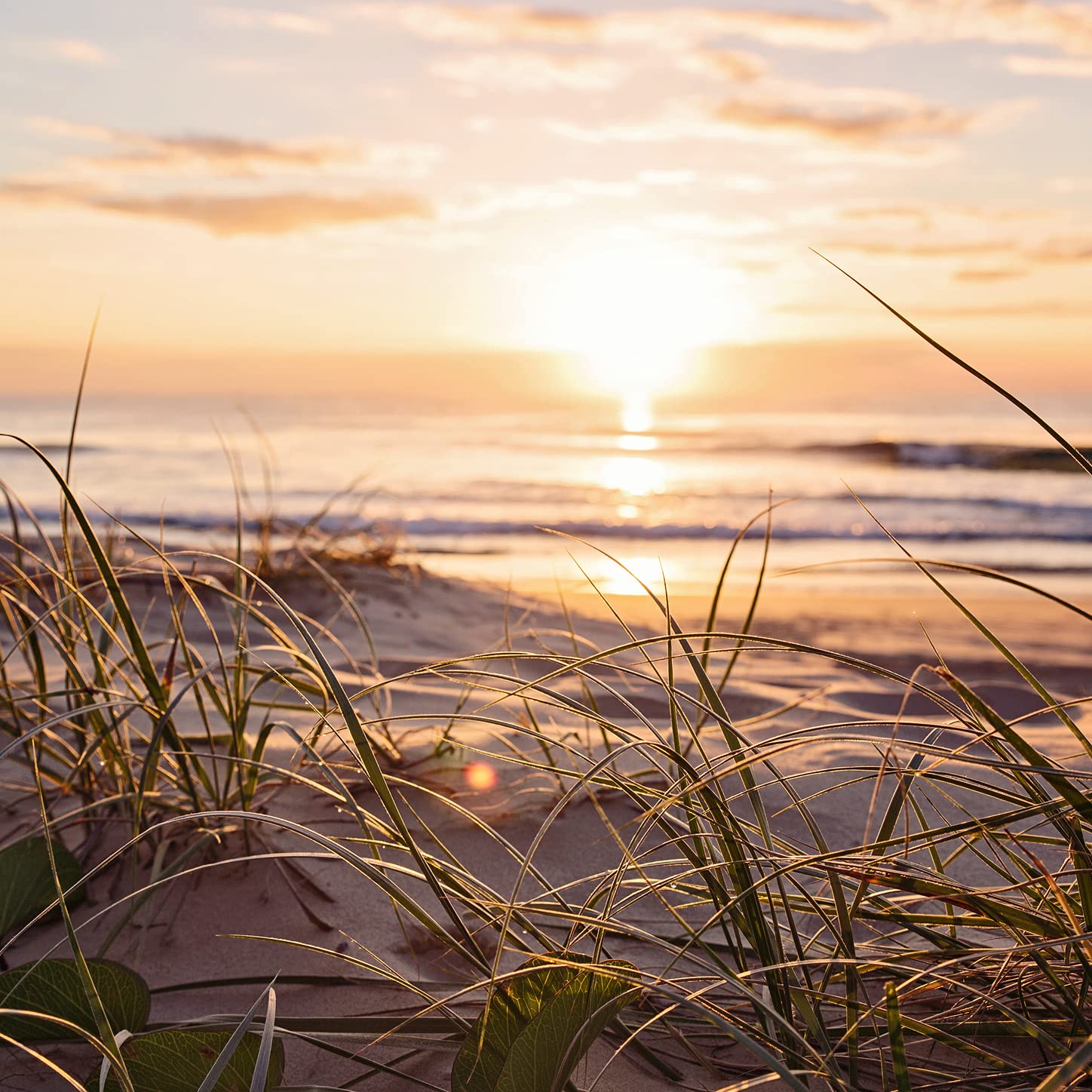 Mariagerfjord Korskole