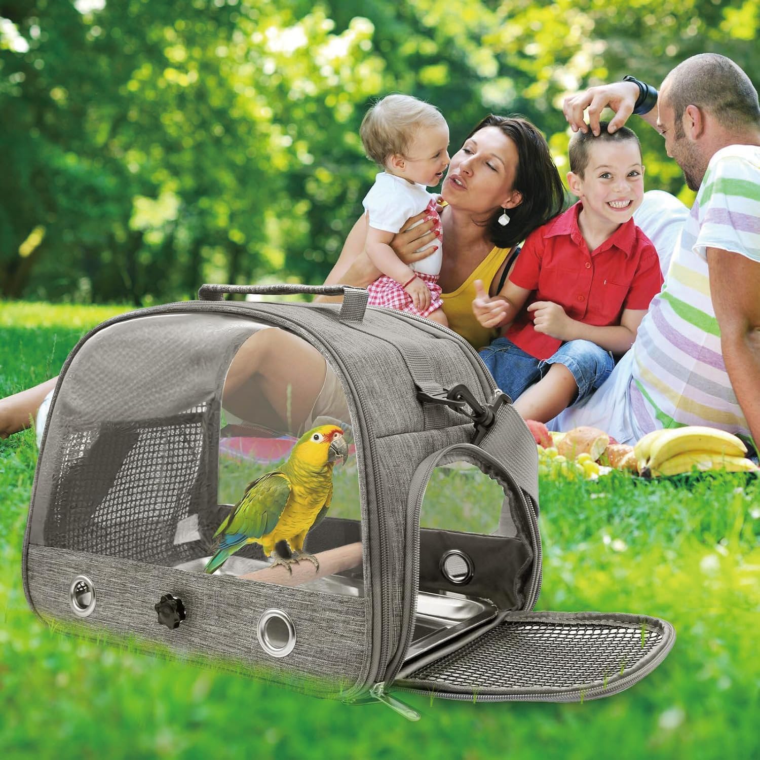 Sac De Transport pour Petits Animaux, Cage à Oiseaux, Sac De Voyage pour Animal, Cage De Transport Portable pour Petit Oiseau, Boîte De Transport pour Oiseaux, pour Petits Oiseaux, Perroquet (Gray)
