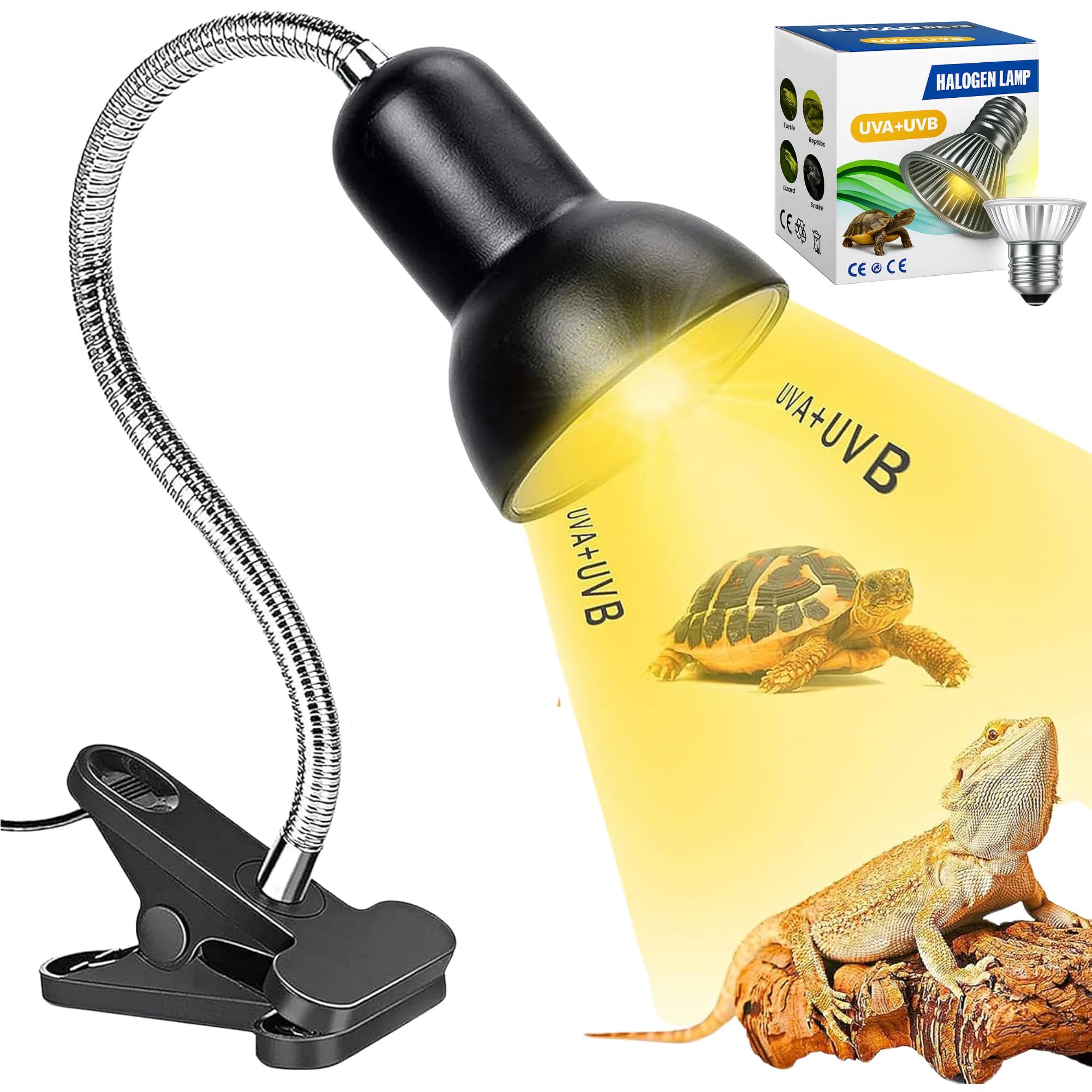 BURAQ Reptile Heat Lamp with Holder & UVA + UVB Bulb | Basking Light for Turtles, Amphibians, Aquarium Tanks & Lizards | Full Spectrum Sun Lamp for Healthy Growth (50W)