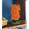 Product Photo 7