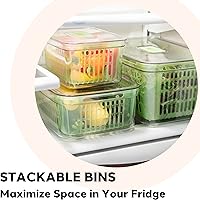 Vista 5 de Oggi Contenedor de verduras frescas - Organización de cocina, contenedores organizadores de refrigerador, contenedores de almacenamiento