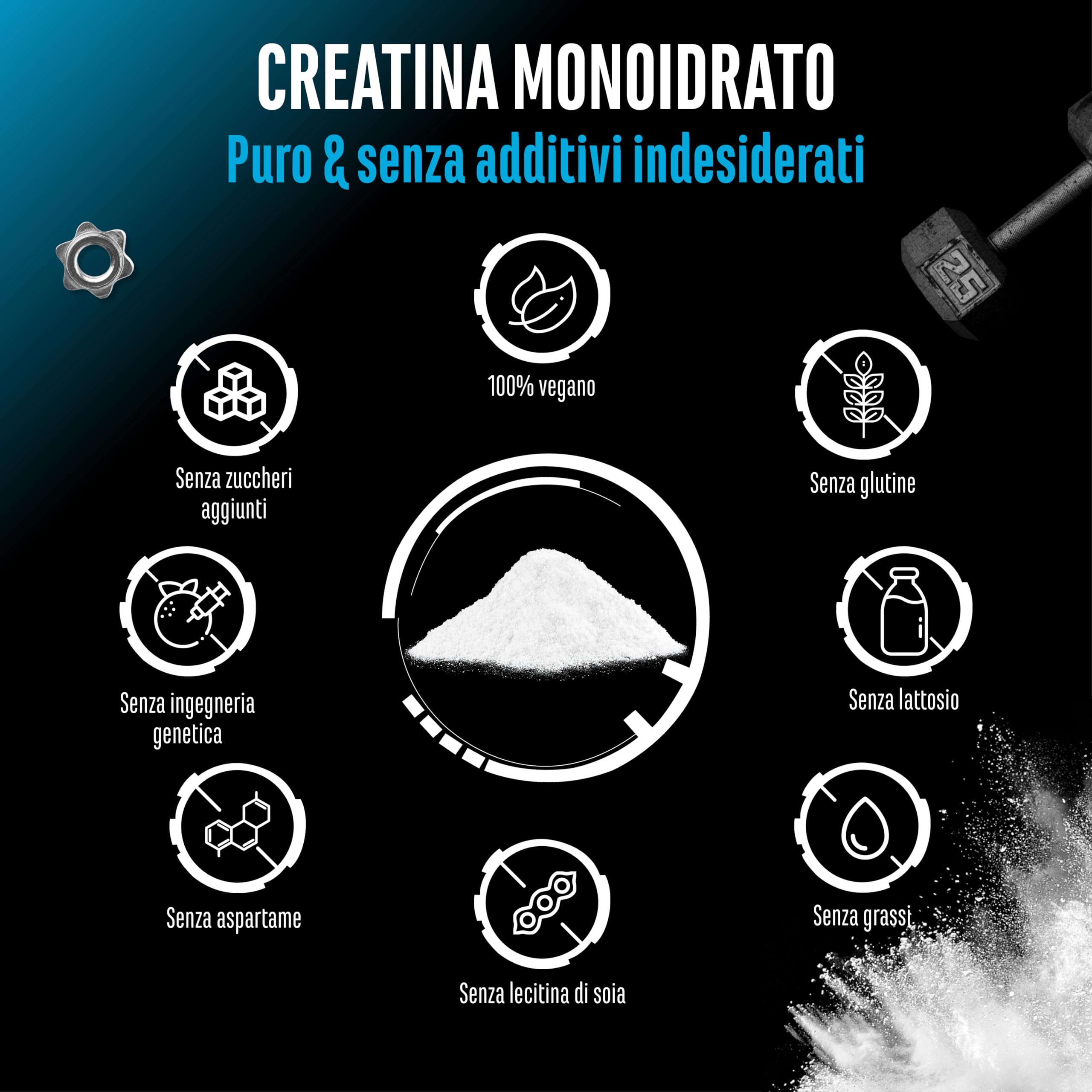 Creatina in polvere - 1kg / 1000 g - Creatina monoidrato in polvere - Solubilità ottimale e microfine - Vegan - 293 applicazioni - Qualità testata