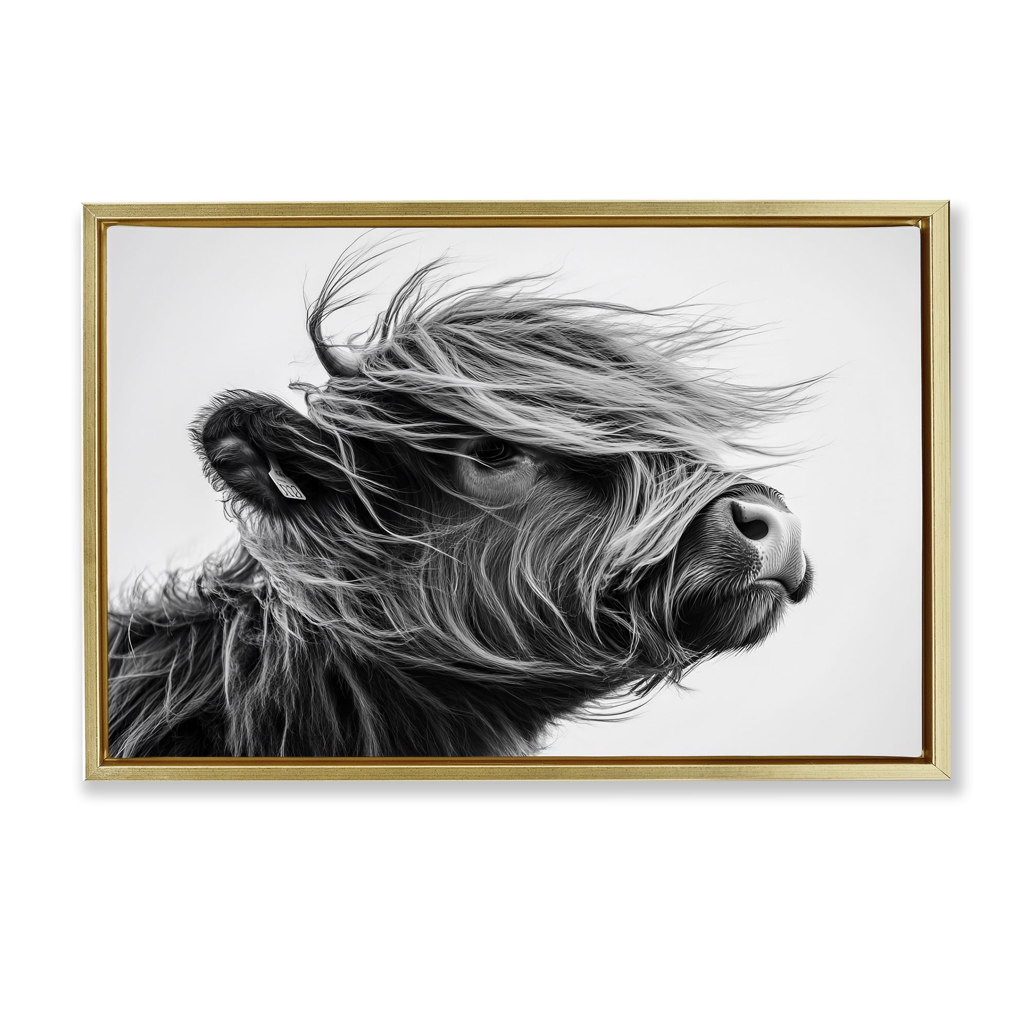Stupell Industries 'Handsome Highland Portrait', Floating Frame Canvas Art, Gold, 31 x 21 Inches, Easy to Hang and Sturdy, Made in USA, by Tina LeCour
