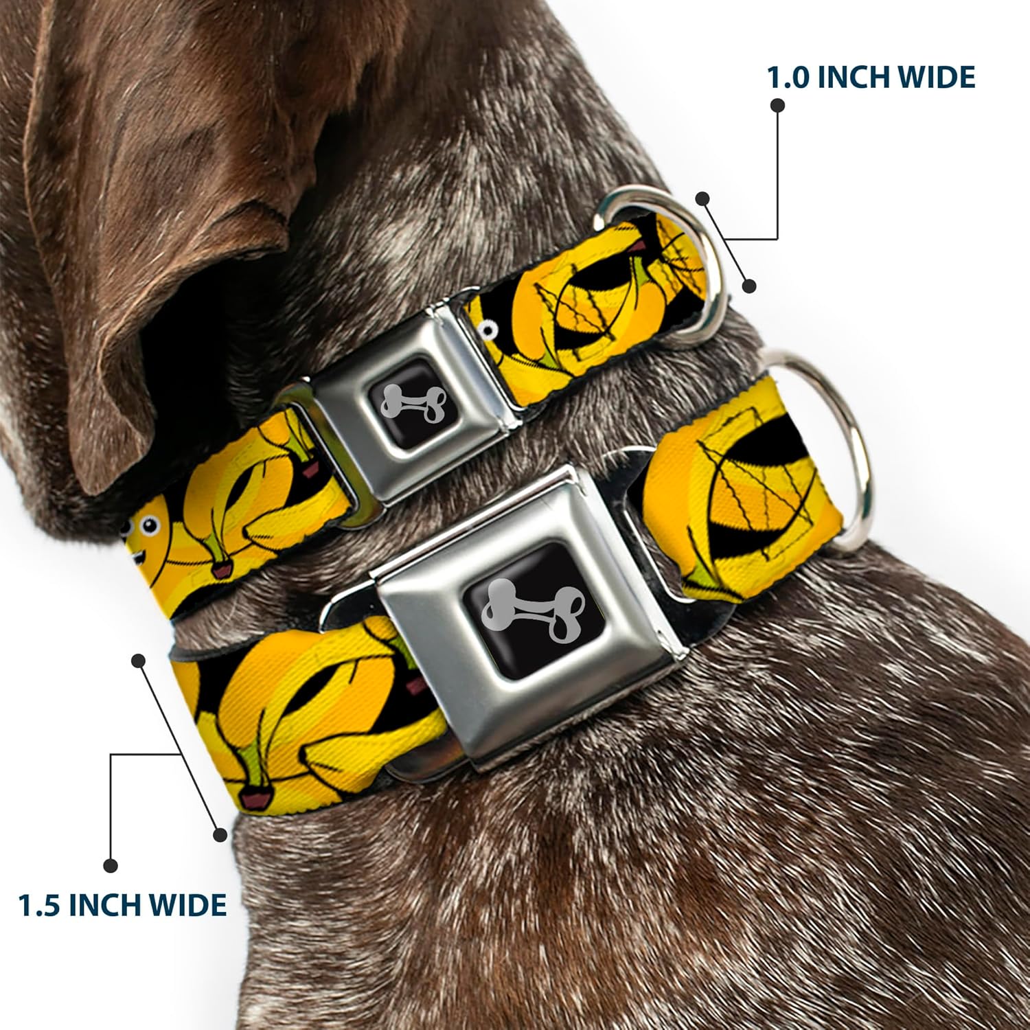 Buckle-Down 15-26" Vivid Banana Bunches Stacked Dog Collar Bone