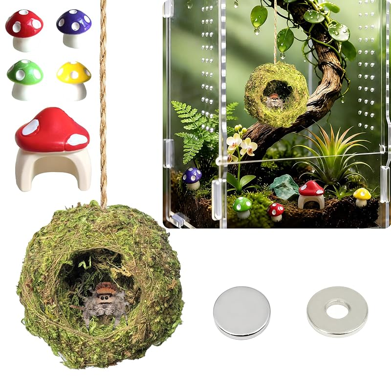 Esconderijo de musgo natural para aranha-saltadora com ponte de corda e ímãs Welifafa H-2