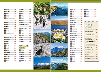 817DId9m3eL._AC_UF350,