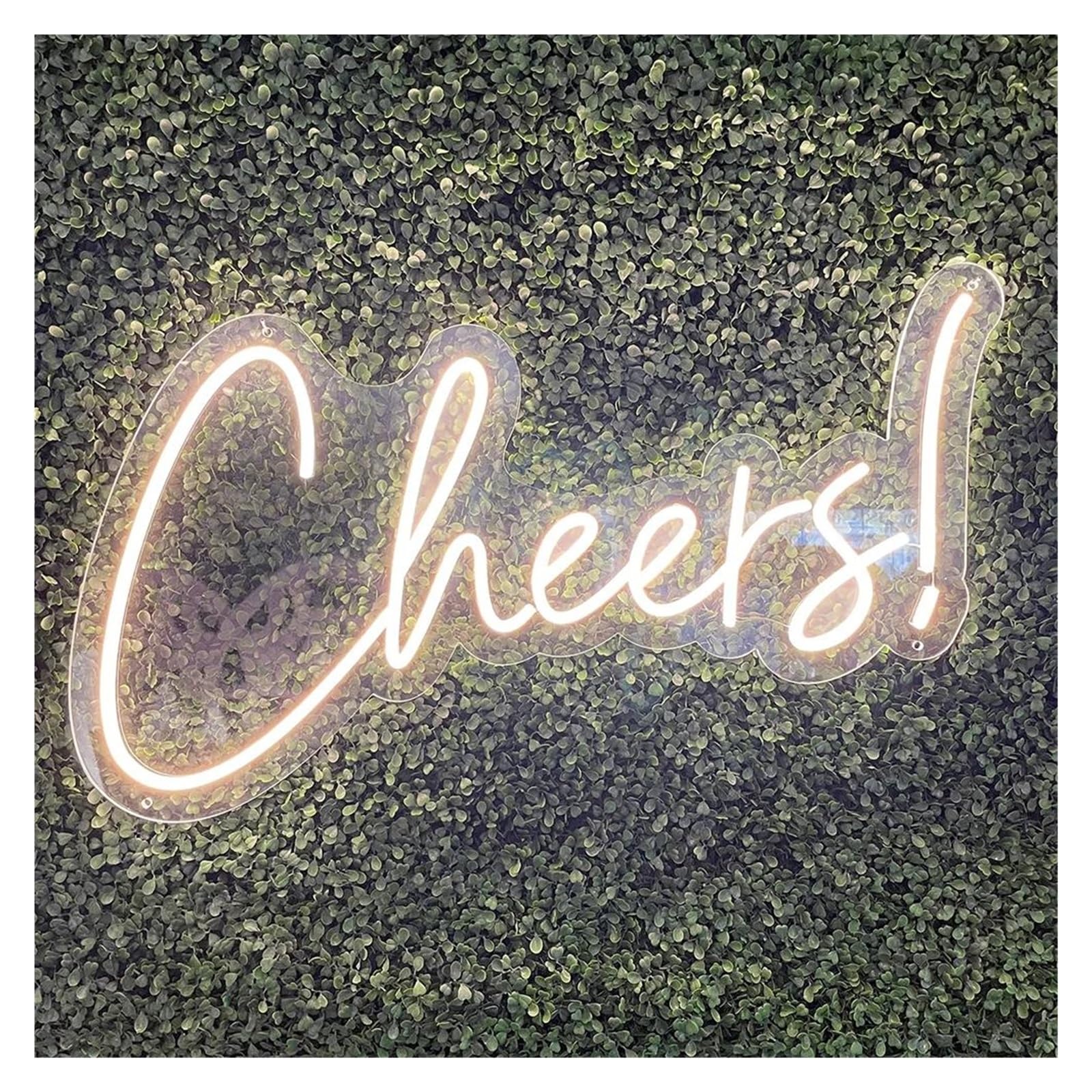 Lemst One Color Signs Lamp Cheers Neon Signs Usb Powered Adjustable Brightness Letter Neon Lights Suitable For Home Party Decor Neon Sign Lights(50Cm)