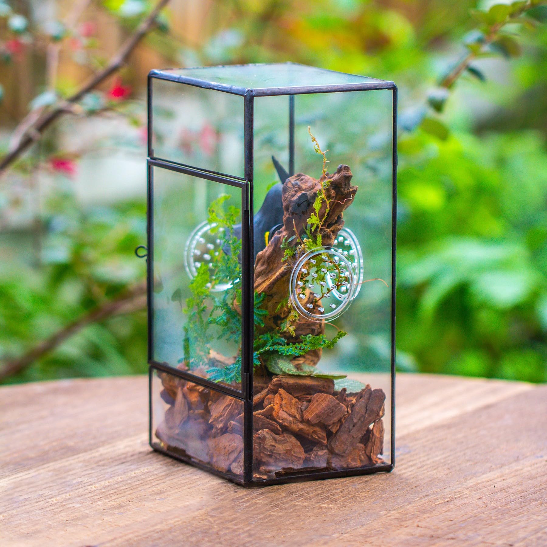 NCYP Terrario rettangolare in vetro con porta laterale e tre fori di ventilazione fatto a mano,13x10x23 cm, nero geometrico terraio per piccoli insetti, decorazione per casa e giardino (solo terrario)