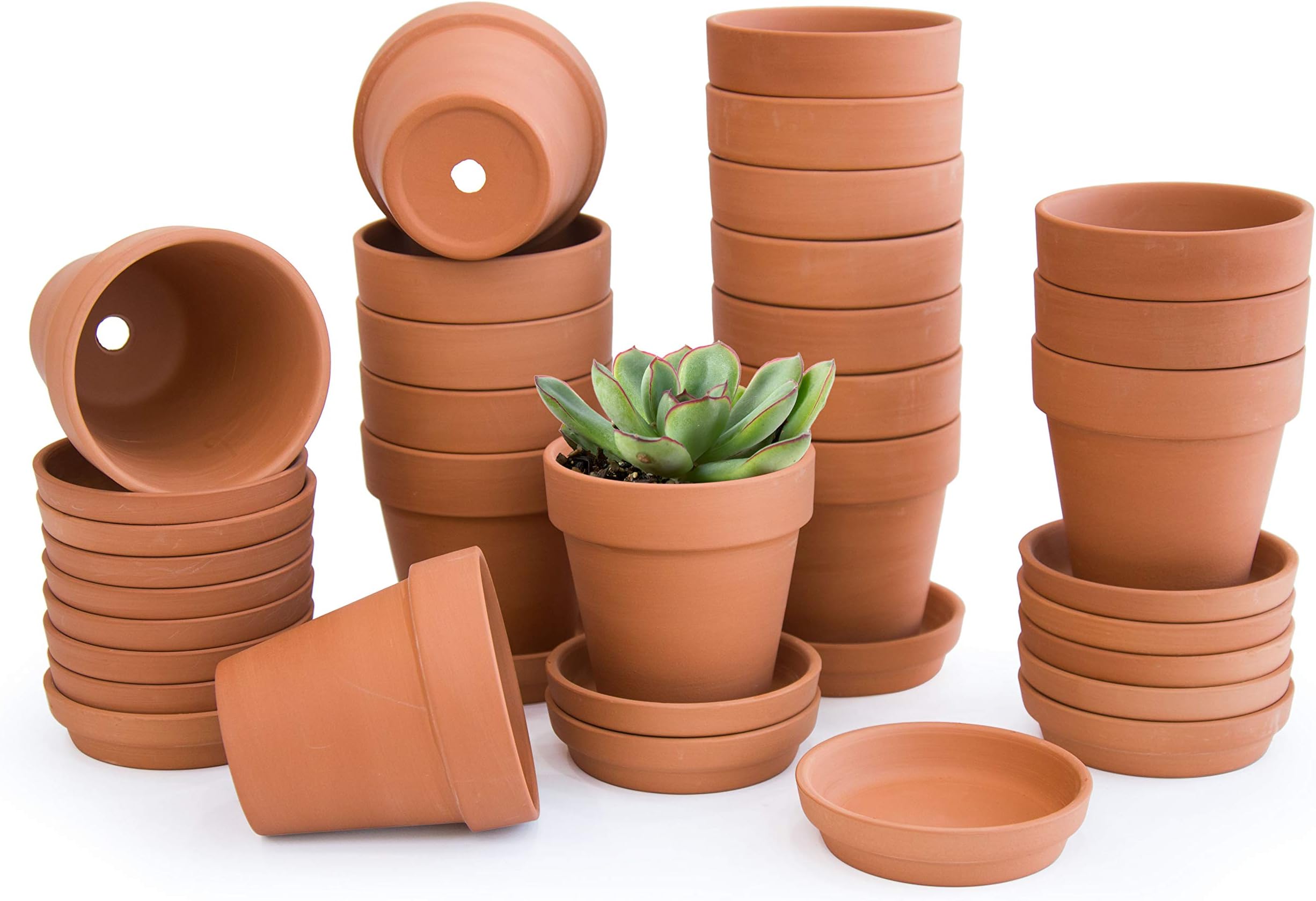 D'vine Dev Pack of 18 Terracotta Pots with Saucers, 3 Inches Terra Cotta Pots with Tray, Clay Pots for Plants & Succulents, Terracotta, 588-51-1