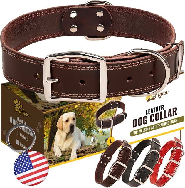 ADITYNA Leather Dog Collar