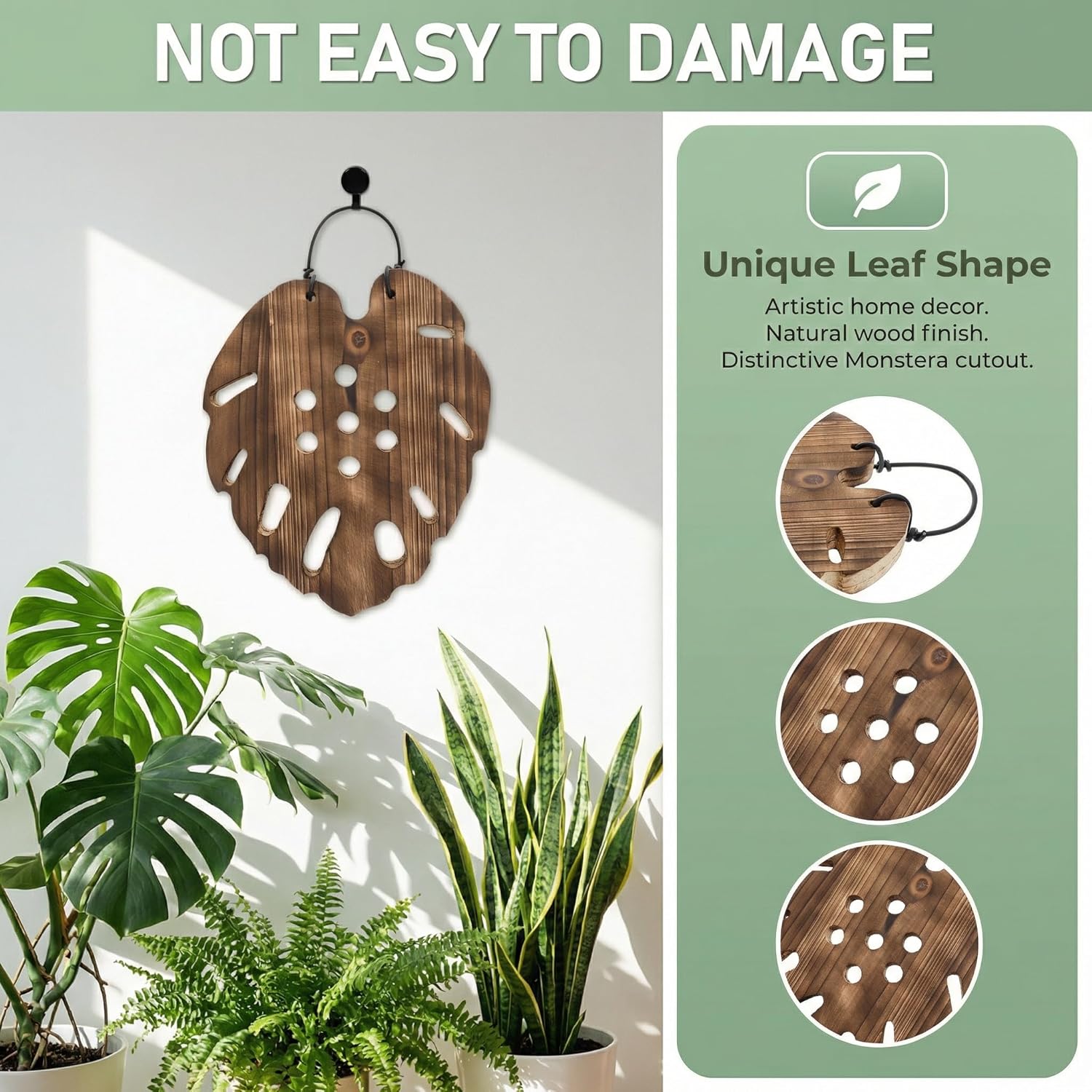 TOYANDONA Staghorn Fern Mounting Board Unique Hexagonal Wood Panel for Monstera Wall Art Reusable Plant Board for Indoor Vertical Garden Decor for Home Office Planting
