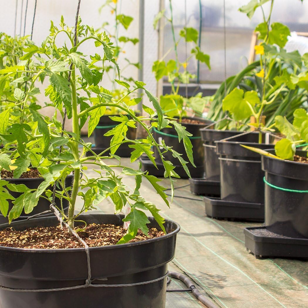 PLANT IT 01-075-080 Kit-15L Plantit Gogro Automatic Watering System 2 Expansion Kit 15L Pots, Black