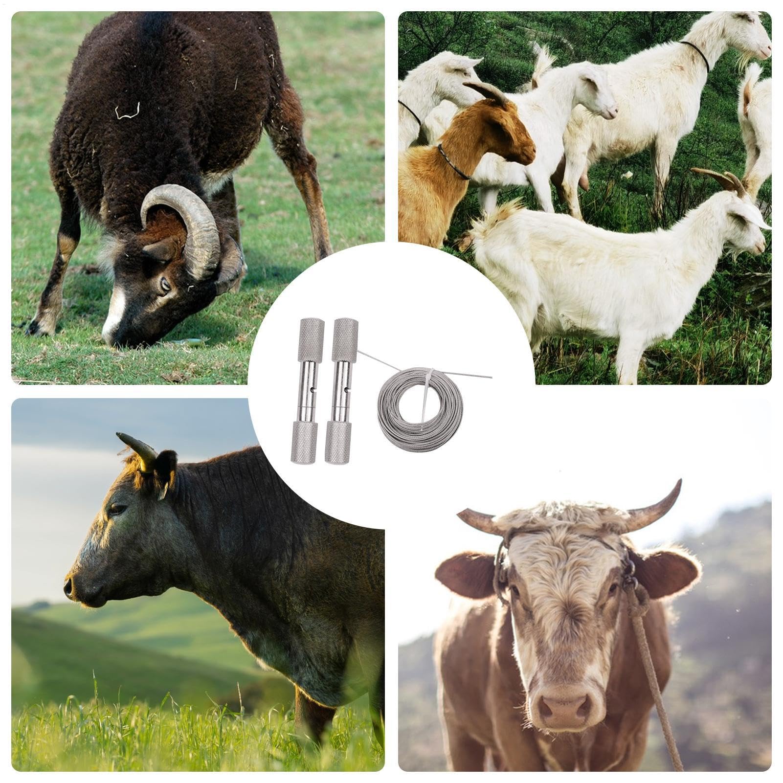 Drahtsäge Handwerkzeug zum Dehornen - Dehorning Drahtsäge | Drahtsäge Horn schneiden Schaf und Ziege | Enthornungsvorrichtung | Edelstahl Horn Saitensäge mit Griffen | Hornsägewerkzeug für
