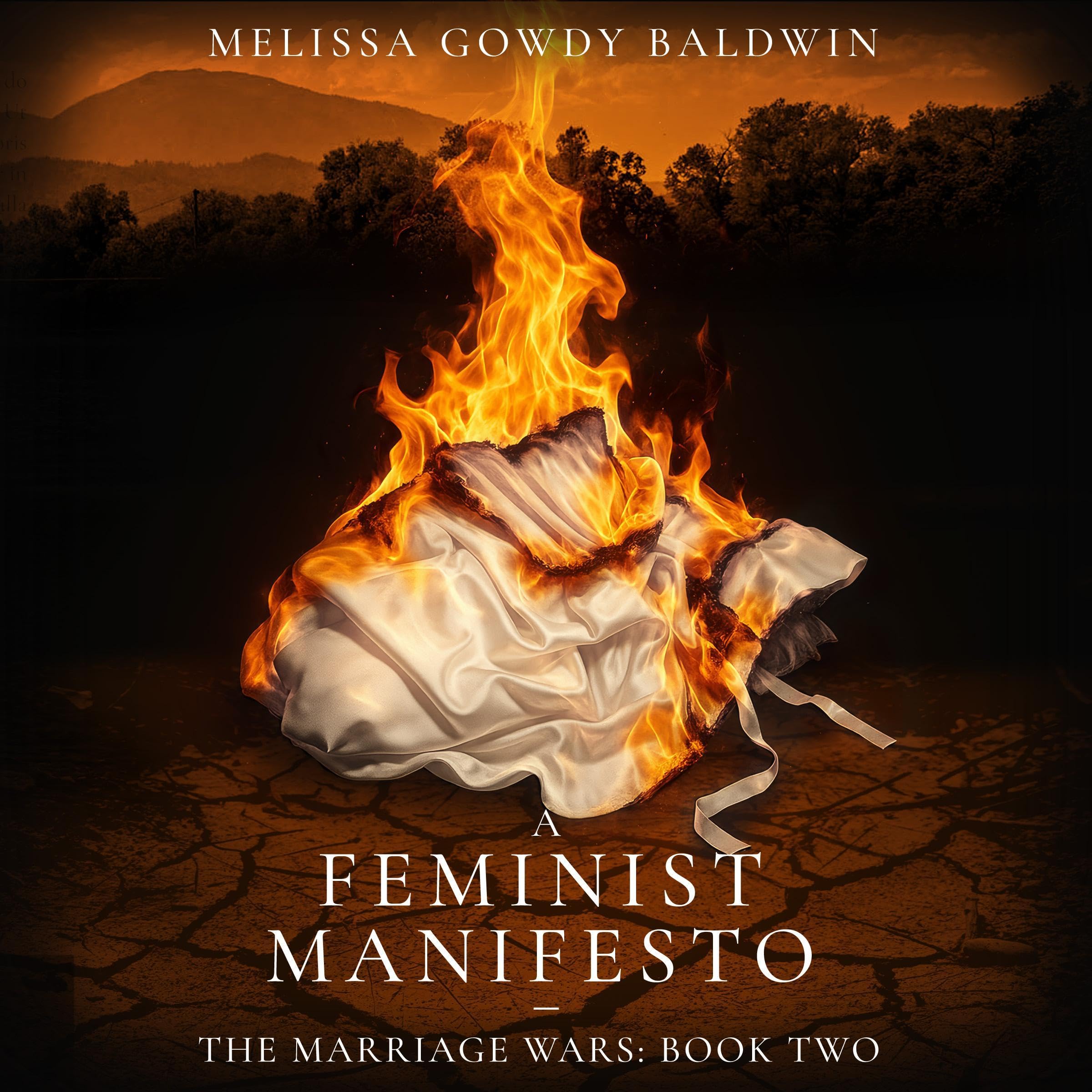 Cover art for A Feminist Manifesto