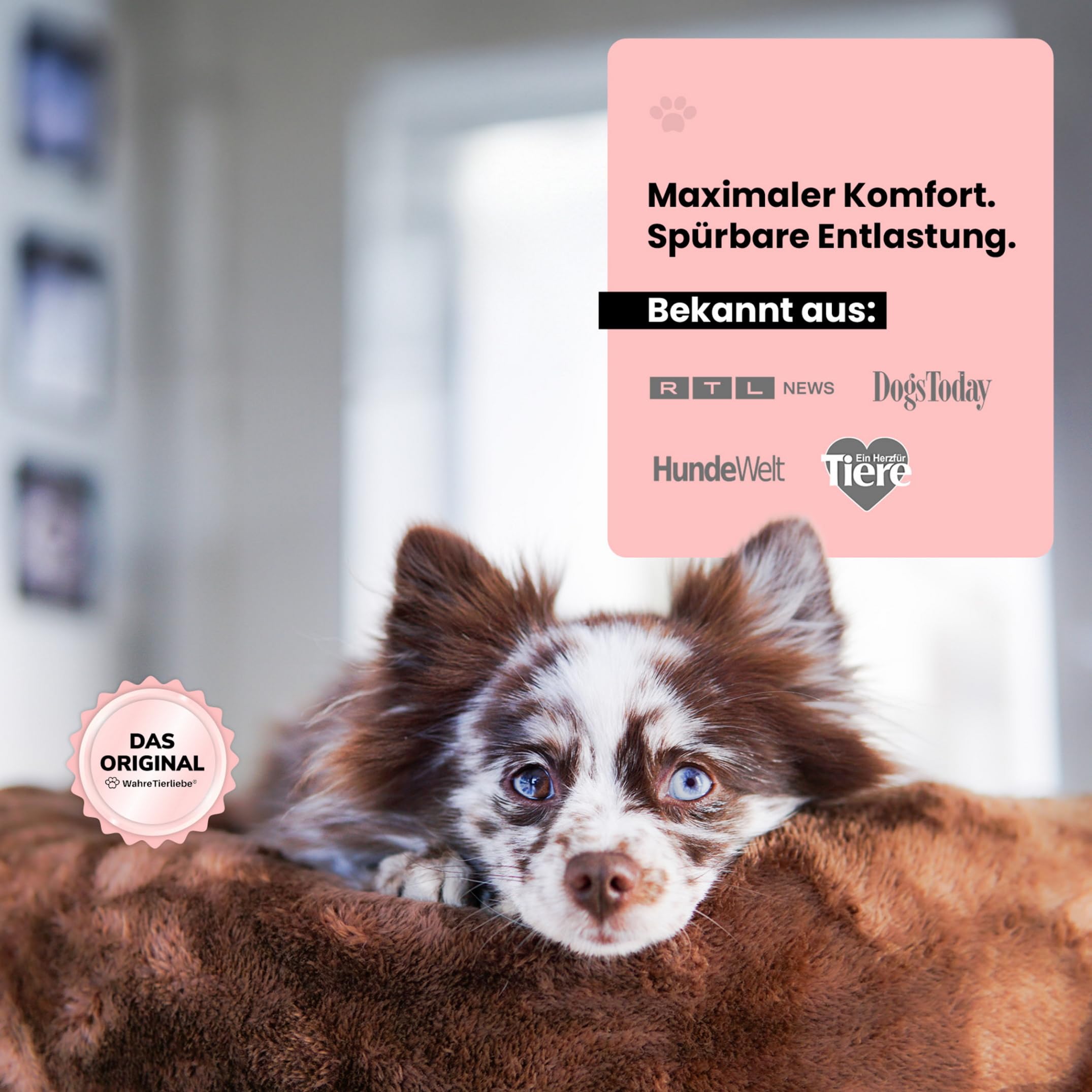 Wahre Tierliebe Cama para perros Cloud 7 [Plus] – El original, con funda lavable [S, 70 cm, gris] Cojín para perros, cesta para perros, cama mullida para perros grandes, medianos y pequeños